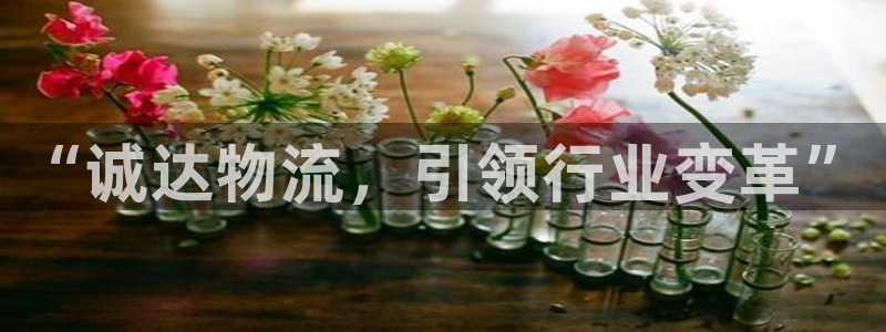 狗子28稳吗：“诚达物流，引领行业变