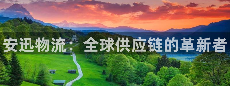 狗子28官网入口pc正版：安迅物流：