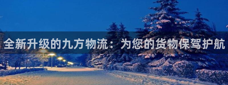 狗子28激活码：全新升级的九方物流：