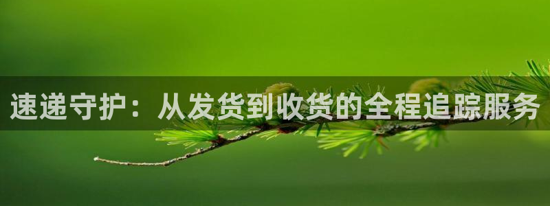 狗子28官网入口正版：速递守护：从发