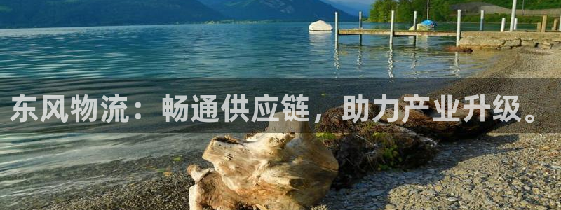 狗子28加拿大真假怎么看：东风物流：
