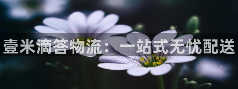 狗子28自行车图片：壹米滴答物流：一