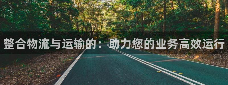狗子28充值不到账怎么回事：整合物流