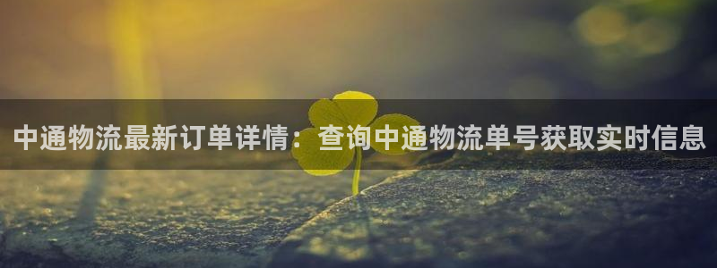 狗子28软件总是闪退怎么回事：中通物