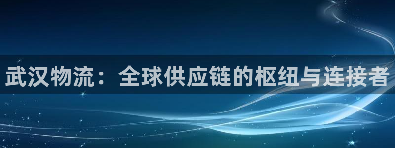 狗子28充值不到账什么原因：武汉物流