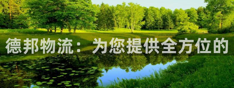 狗子28加拿大技巧：德邦物流：为您提