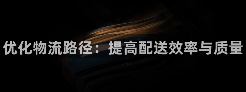 狗子28能赢钱吗：优化物流路径：提高