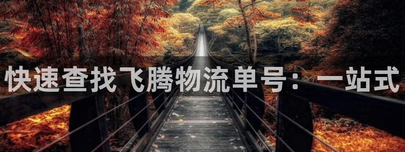狗子28娱乐官网网页入口：快速查找飞