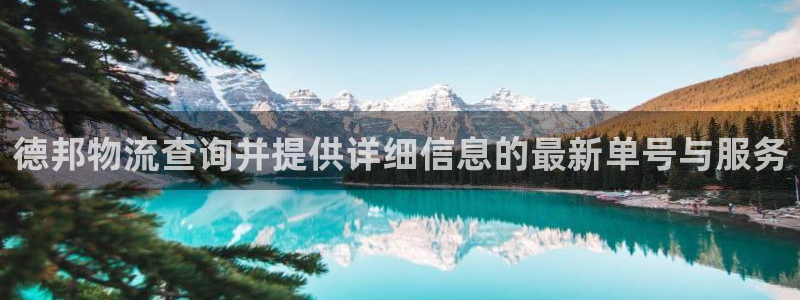 狗子28注册网页：德邦物流查询并提供