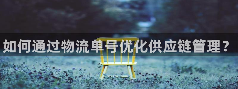 狗子28下载不了：如何通过物流单号优