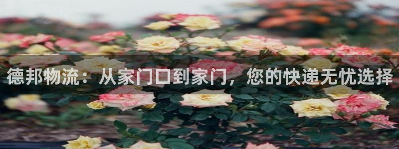 狗子28游戏官网版：德邦物流：从家门