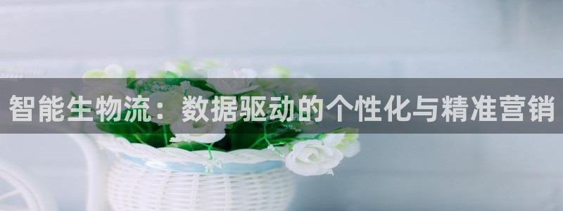 狗子28官网下载链接是什么