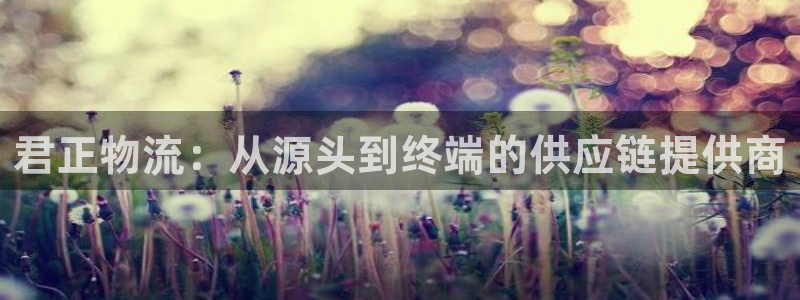 狗子28下载链接是多少