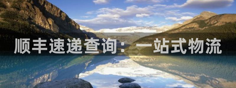 狗子28代理落网:顺丰速递查询:一站