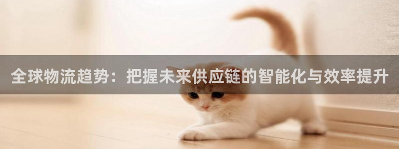狗子28圈：全球物流趋势：把握未来供应链的智能化与效率提升