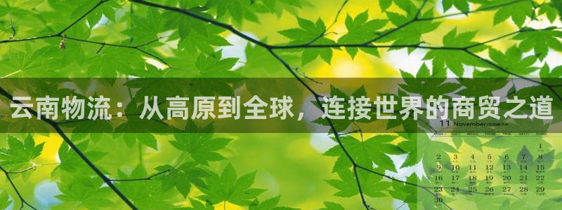 狗子28注册教程：云南物流：从高原到