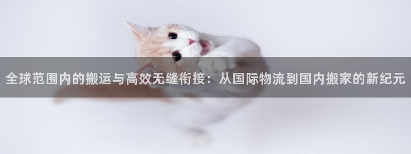 狗子28软件有什么用：全球范围内的搬运与高效无缝衔接：从国际