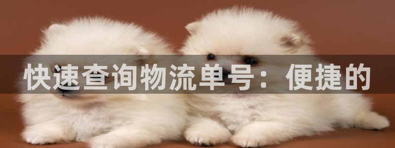 狗子28链接多少