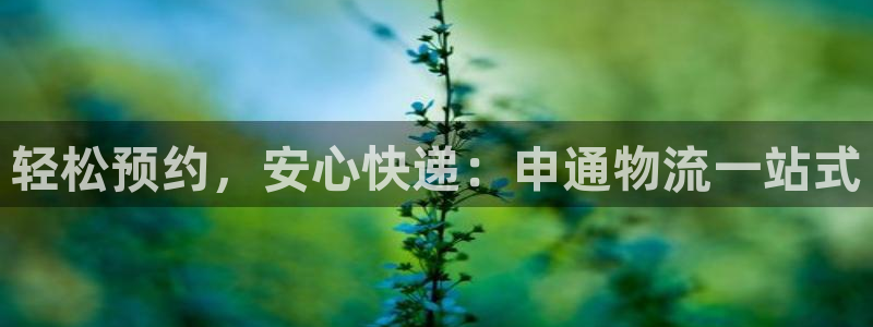 狗子28现在狂杀：轻松预约，安心快递