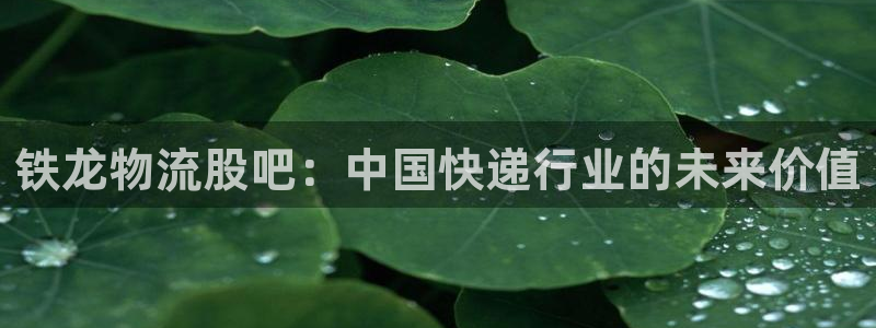 狗子28加拿大走势：铁龙物流股吧：中