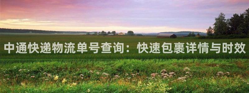 狗子28加拿大28：中通快递物流单号