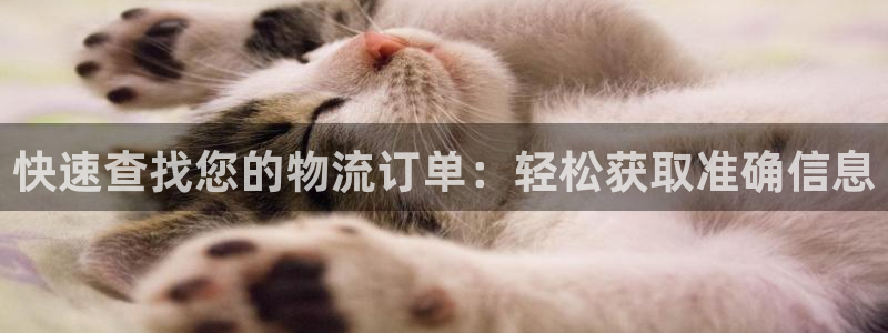 狗子28官方网站：快速查找您的物流订