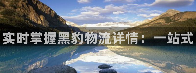狗子28官网下载多少钱：实时掌握黑豹