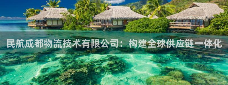 狗子28提款一直没到：民航成都物流技