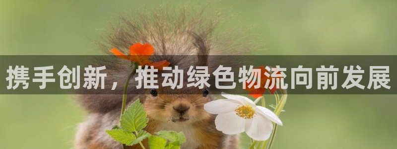 狗子28圈