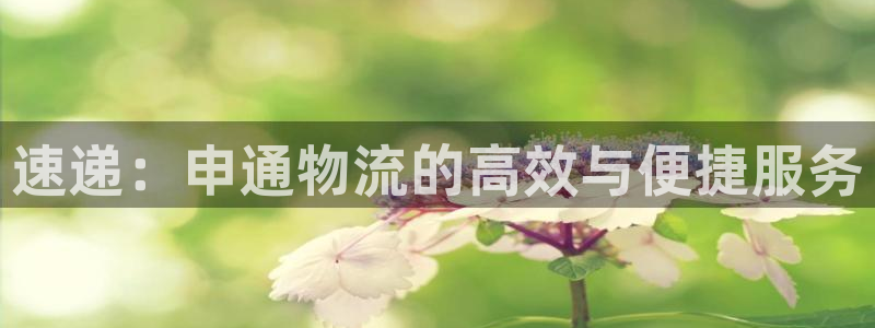 狗子28初始资金密码在哪里改:速递: