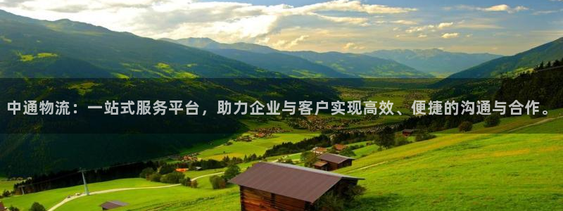 狗子28加拿大在线预测:中通物流:一