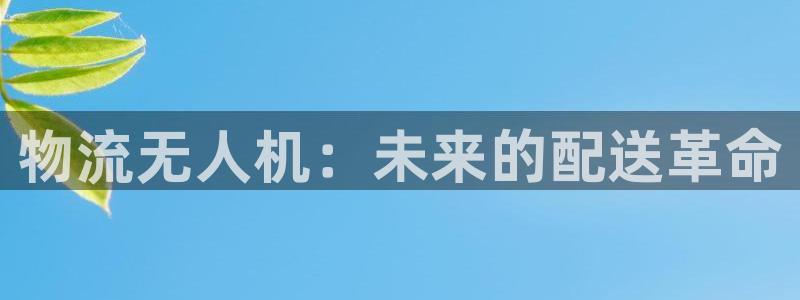 狗子28官网入口2024：物流无人机