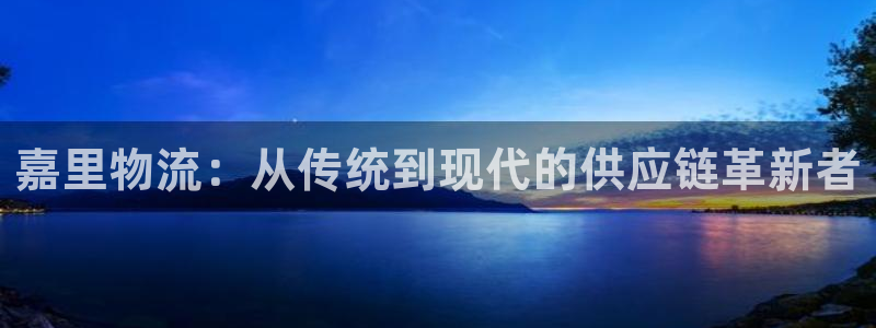 狗子28官网入口pcios：嘉里物流