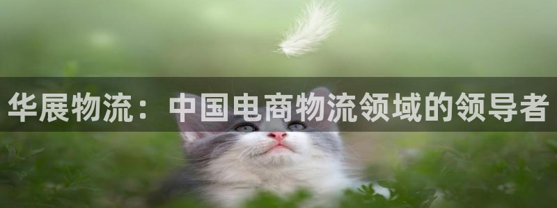 狗子28加拿大在线预测：华展物流：中