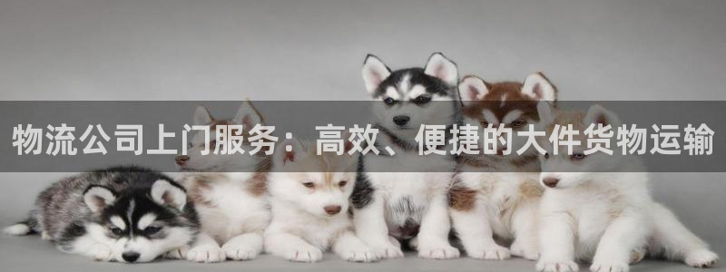 狗子28系统自动保护:物流公司上门服