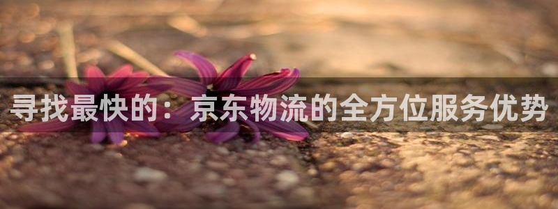 狗子28充值不处理会怎么样：寻找最快