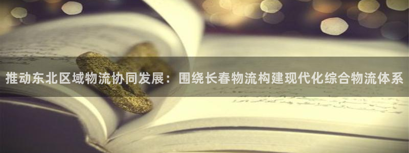 狗子28加拿大模拟器：推动东北区域物
