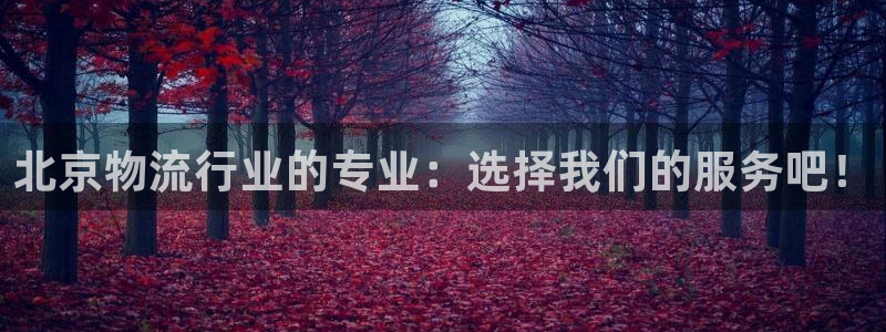 狗子28注册地址：北京物流行业的专业：选择我们的服务吧！