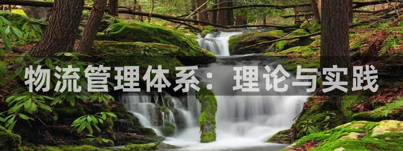 狗子28怎么下载教程：物流管理体系：